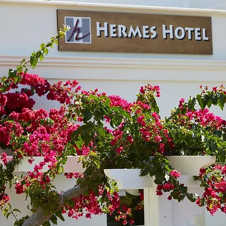 Hotel Hermes